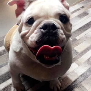 Meet your Posher, Curt